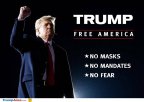 free-america.jpg