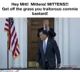 hte-mitt.jpg