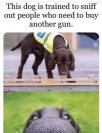 1647878897652.jpeg