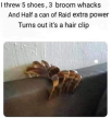 1648066792894.png