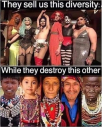 1649442071220.png