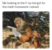 1649852905533.png