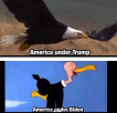 1649852969657.png