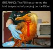 caught7956.jpg
