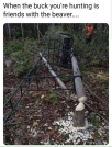 1650727900077.png