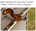 1650822598802.png