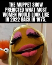 1650822700904.png