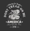 america-dont-tread-on-me-vector-27489144.jpg