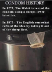 1651087744378.png