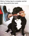 1651446109217.png