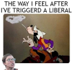1651491566347.png