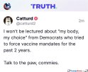 talk-to-the-paw.jpg
