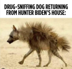 1652040037661.png