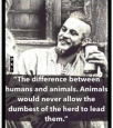 1652227460949.png