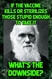 1652471903053.png