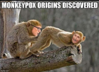 1653041003573.png