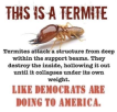 1653055137281.png