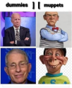 1653068764909.png