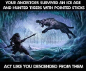1653087510910.png