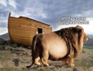 1653154639890.png