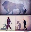 some-shadows.jpg