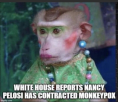 1654116802850.png