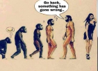 1654273238337.png