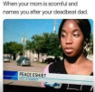 1653835159163.png