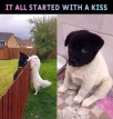 1655082838688.png