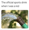 1655732491295.png