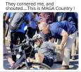 1655732527845.png
