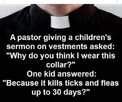 collar.jpg