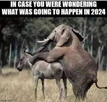 1658261202754.png