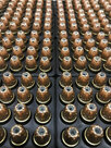bullet pic.jpg