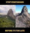 veg.jpg