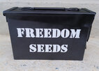 freedom.jpeg