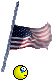 1659520540208.gif