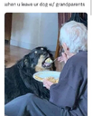1659711207468.png