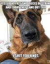 1660084676368.png