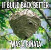 build-back-better1388.jpg