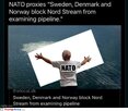 nothing-to-see-here9986.jpg