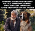 1668780769690.png