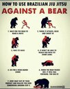 bear.jpg