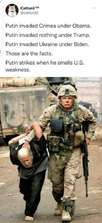 1669387528903.png