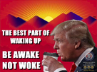 1669985212530.png