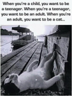 1669987438462.png
