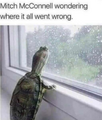 1670418912861.png