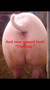 1670689134134.png