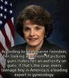 Feinstein expert on guns.jpg