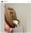 1673901146757.png